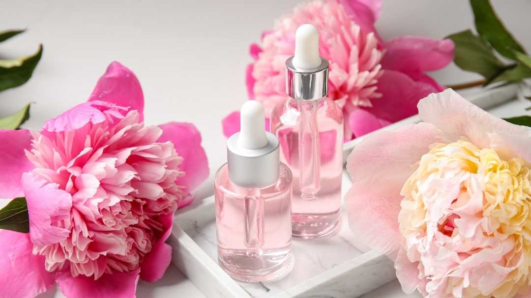 kata kata marketing parfum hardbox.co.id kata kata marketing parfum hardbox.co.id